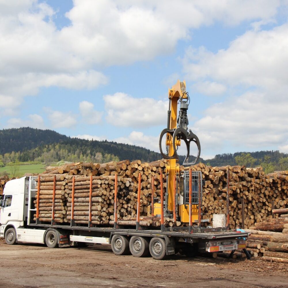 Buchenstammholz ca. 2 m – Komplettladung 50 Ster