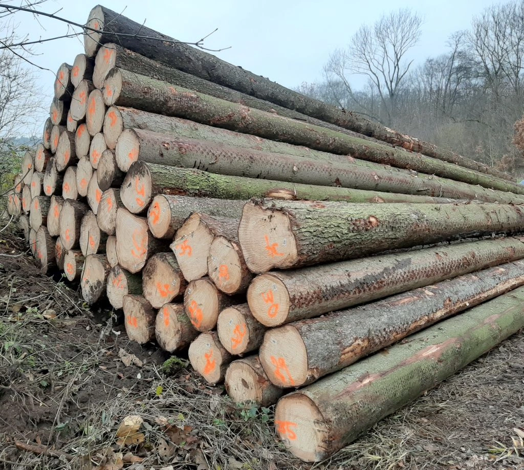 Fichtenstammholz – LKW-Ladung, 2 bis 10 m, PEFC-zertifiziert