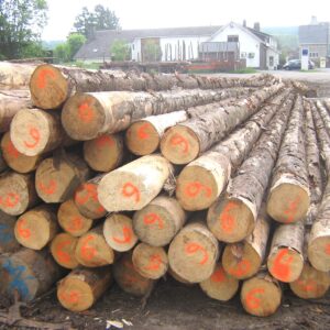 Hartholz-Stammholz gemischt – LKW-Ladung, 2 bis 10 m, PEFC