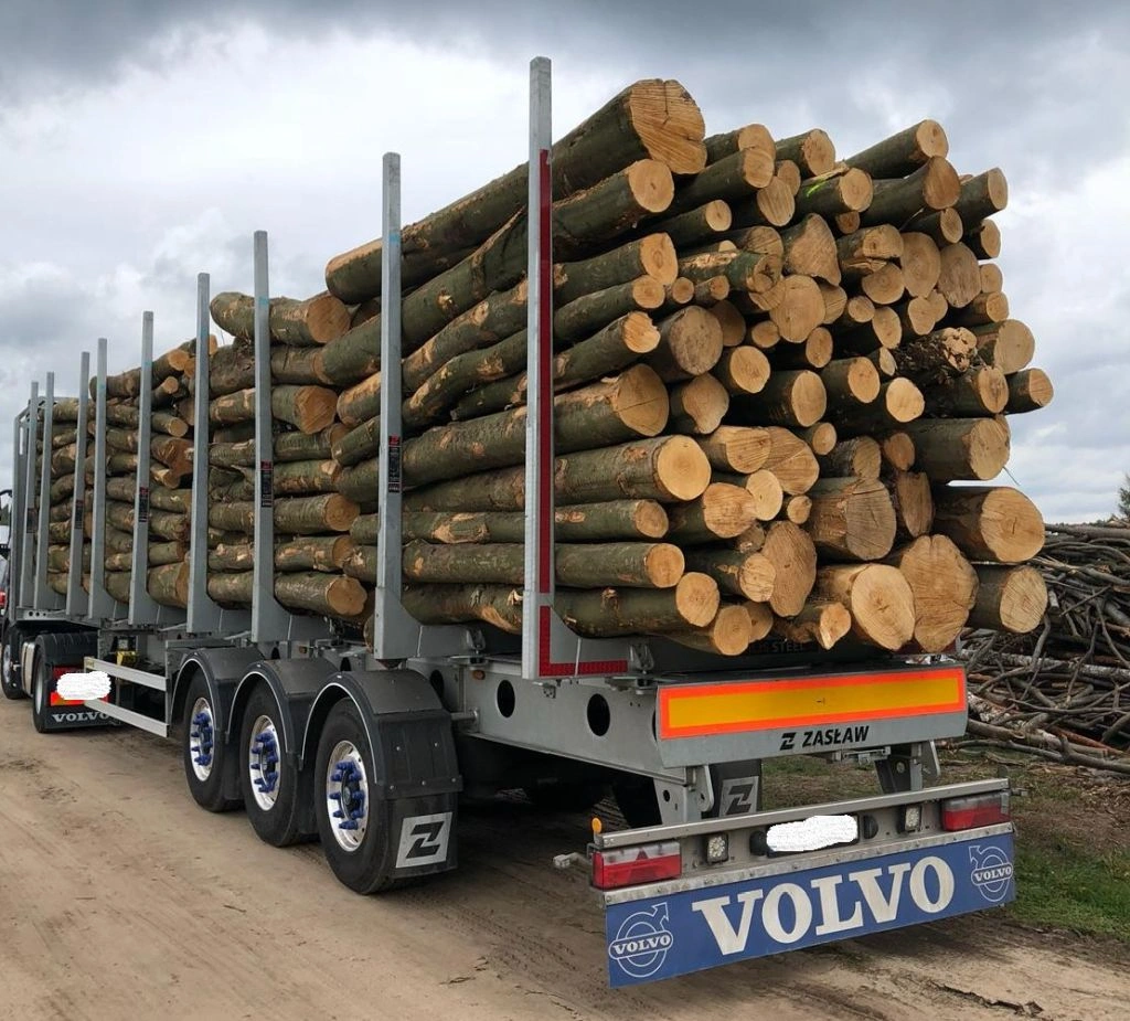 Nadelholz-Stammholz gemischt – LKW-Ladung, 2 bis 10 m, PEFC